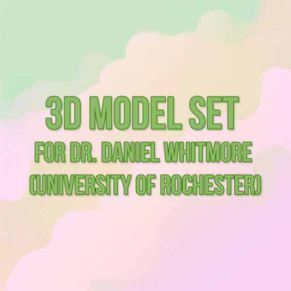 3D Model Set for Dr. Daniel Whitmore (University of Rochester)