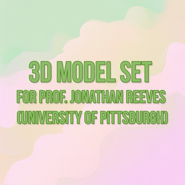 3D Printing - 3D Model Set for Prof. Jonathan Reeves (University of Pittsburgh)